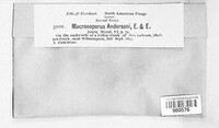 Xanthoporia andersonii image